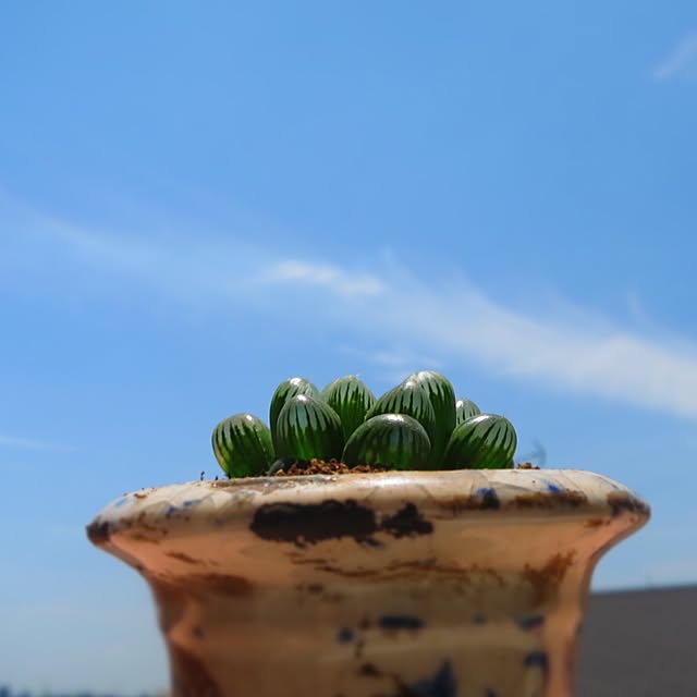 nan_tocoさんの実例写真