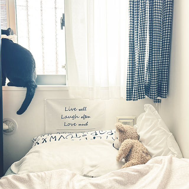 nekomiさんの実例写真