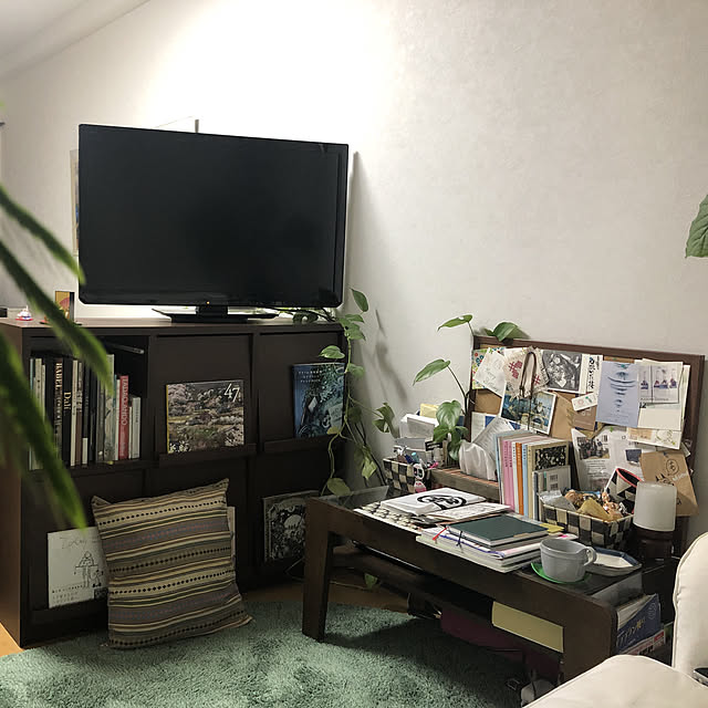 リビング/一人暮らし/観葉植物/雑貨のインテリア実例 - 2019-02-11 17:46:16