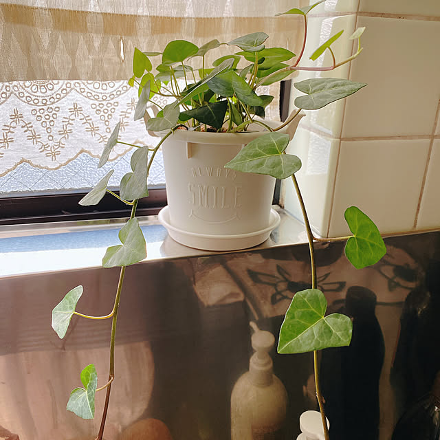 smallroomさんの実例写真
