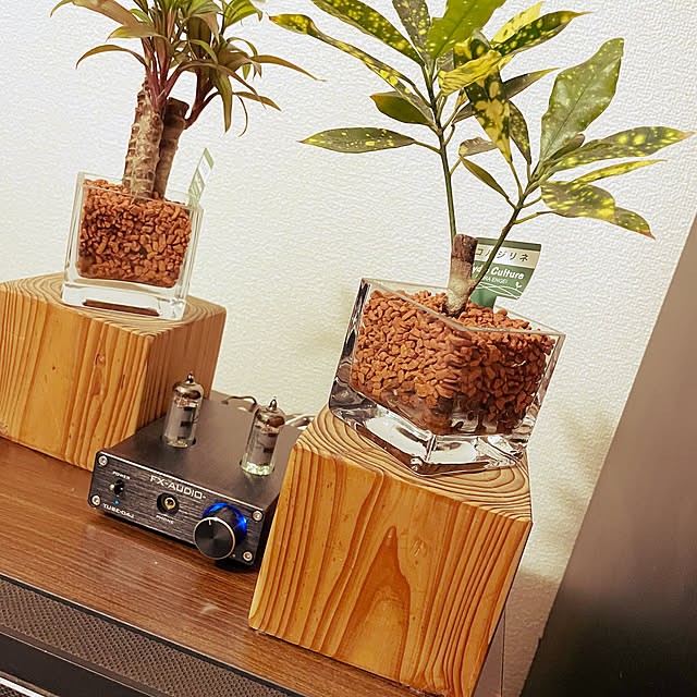 部屋全体/レトロ/一人暮らし/カフェ風/観葉植物...などのインテリア実例 - 2023-09-17 21:36:23