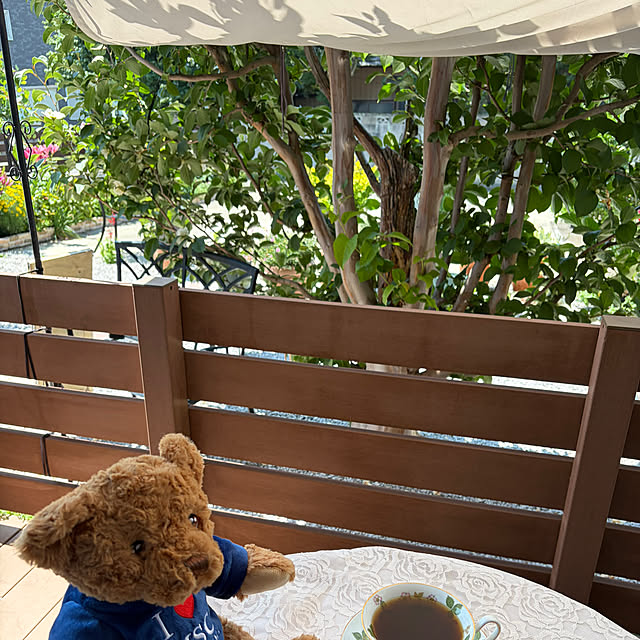 ronronさんの部屋