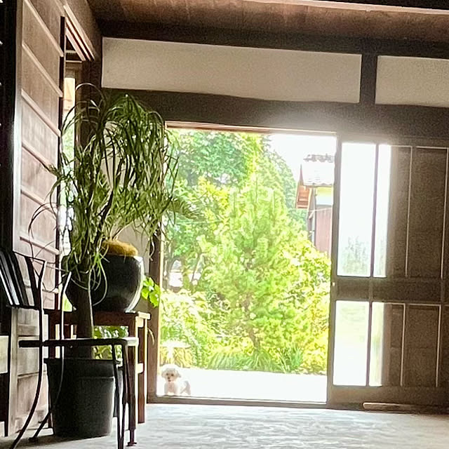 cotaさんの部屋