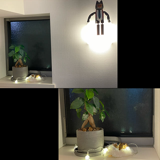 hebelian_miniさんの実例写真