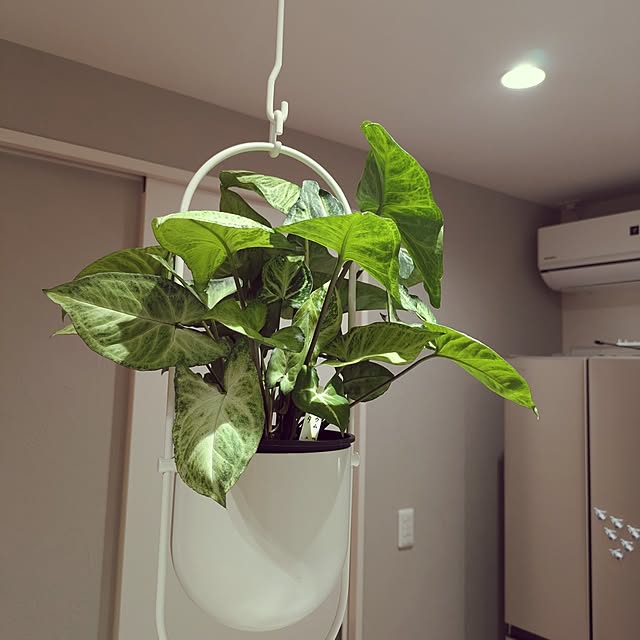 y.kkoさんの部屋