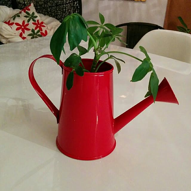 aoさんの実例写真