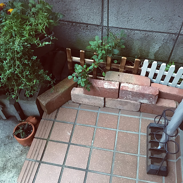 mimichankさんの実例写真