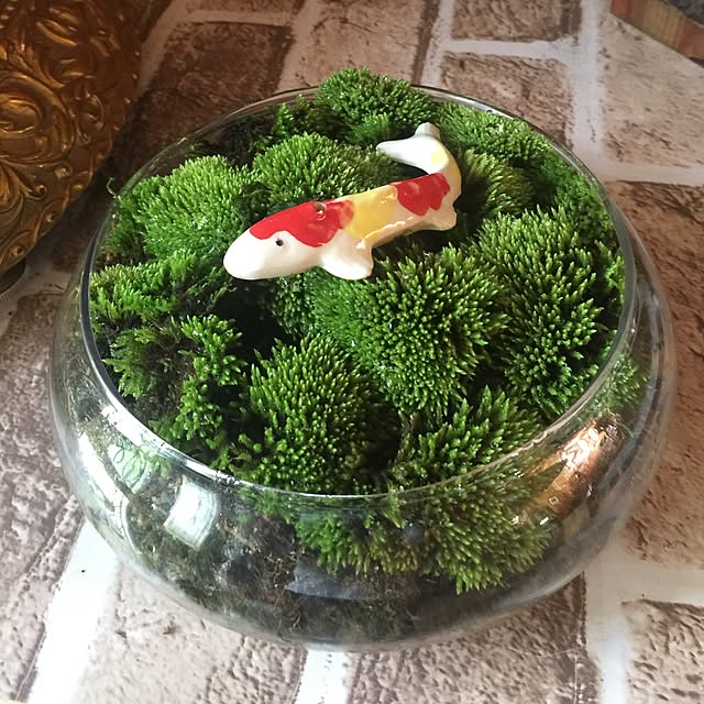 azukihagiharaさんの実例写真