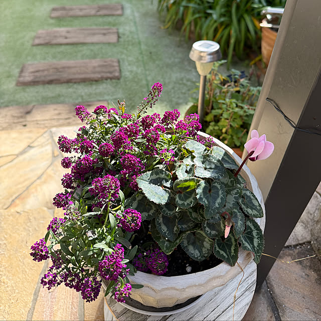 yumirilさんの部屋