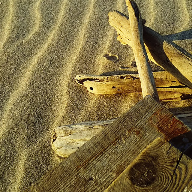 hononoさんの実例写真