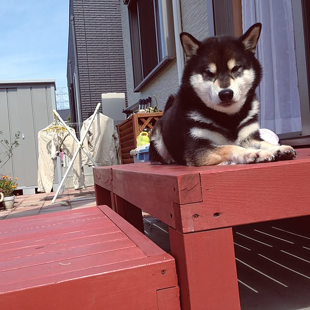 komameさんの実例写真