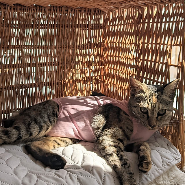 flannel.さんの実例写真