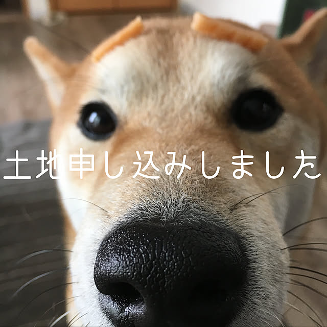 diez_taraさんの実例写真