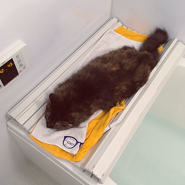 mikomaruさんの実例写真