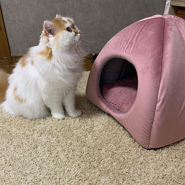 keiさんの実例写真