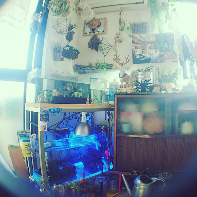 Harunaさんの実例写真