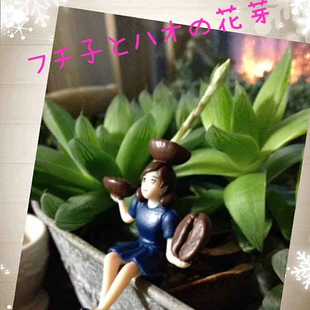 8717さんの実例写真