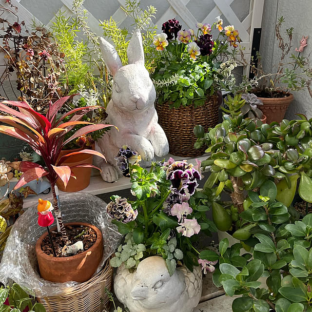 zoeさんの部屋