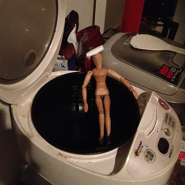 Hasekanさんの実例写真