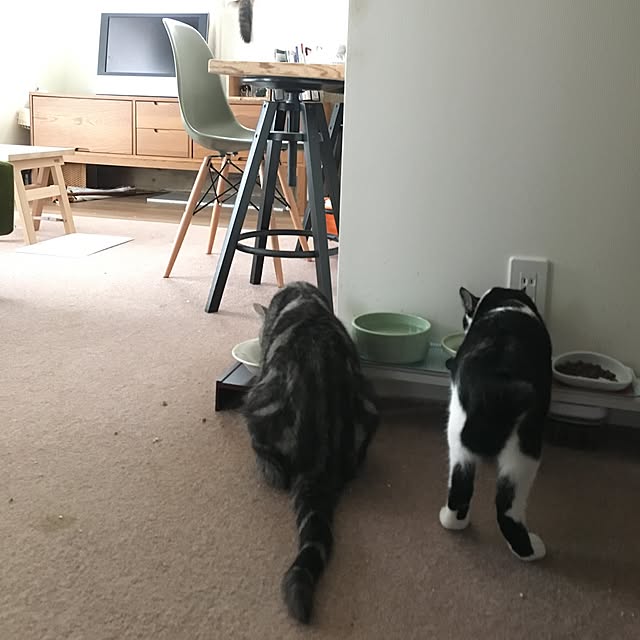 mikomaruさんの実例写真