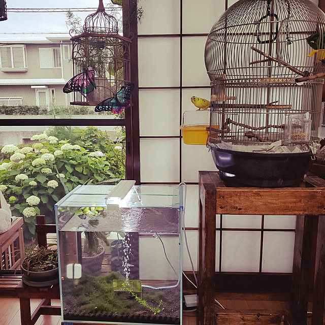 sanさんの実例写真