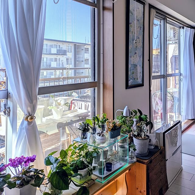 mi-saさんの部屋