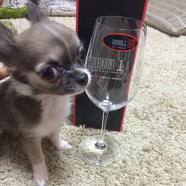 naotin32さんの実例写真