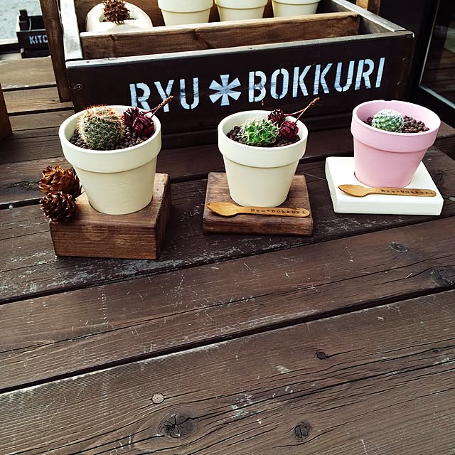 RYUBOKKURIさんの実例写真