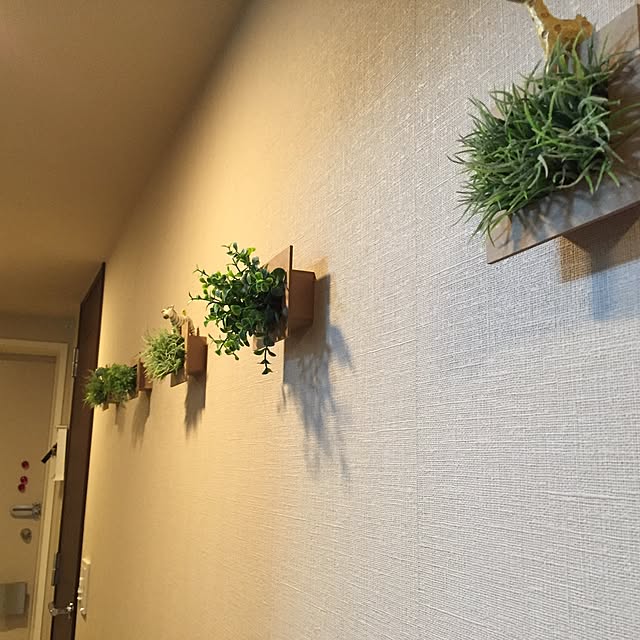 doskoiさんの実例写真