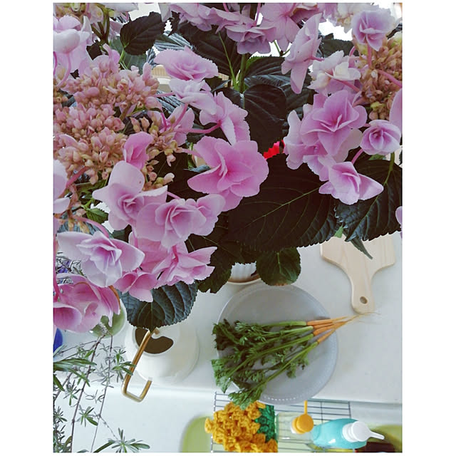 hm99さんの実例写真