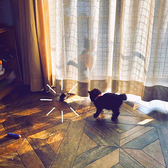 maroさんの実例写真