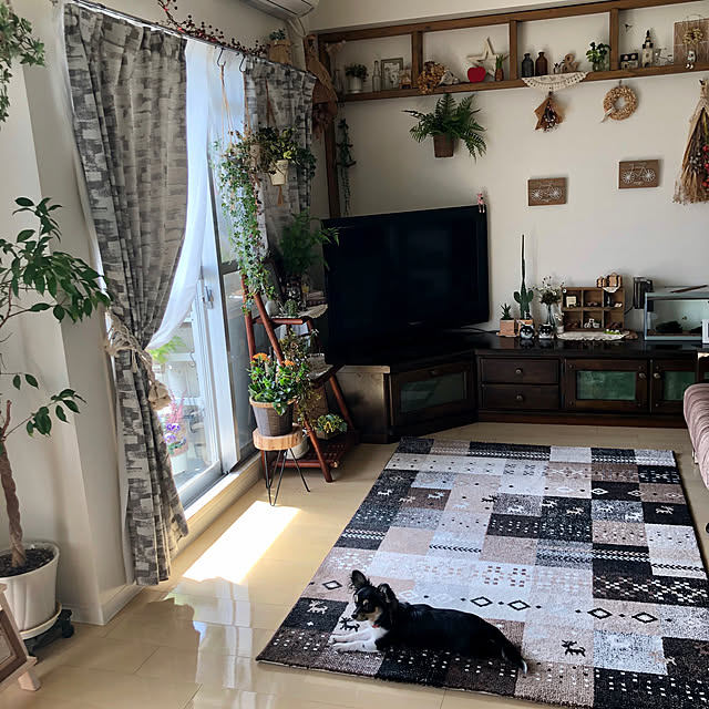 miyakoさんの実例写真