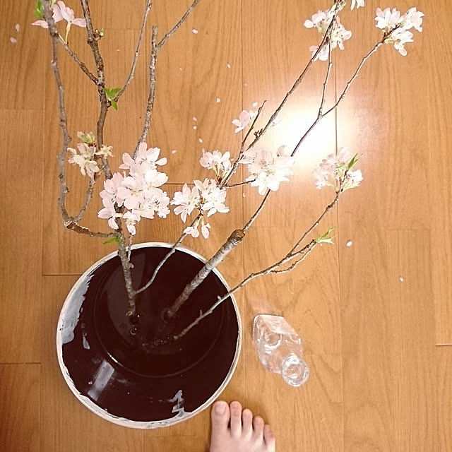 m_chinさんの実例写真