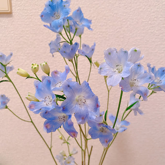 smallroomさんの実例写真