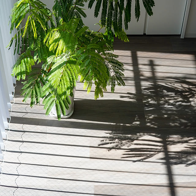 Saraさんの実例写真