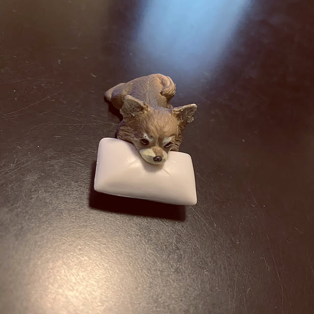 chocoさんの実例写真