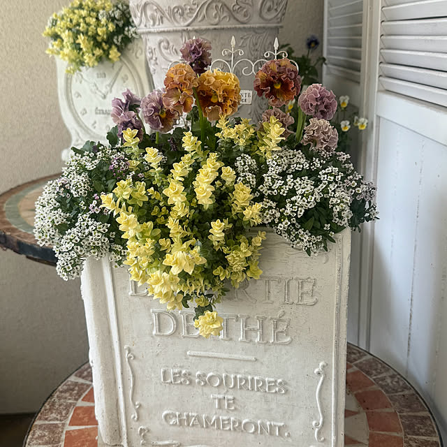 cocoさんの実例写真