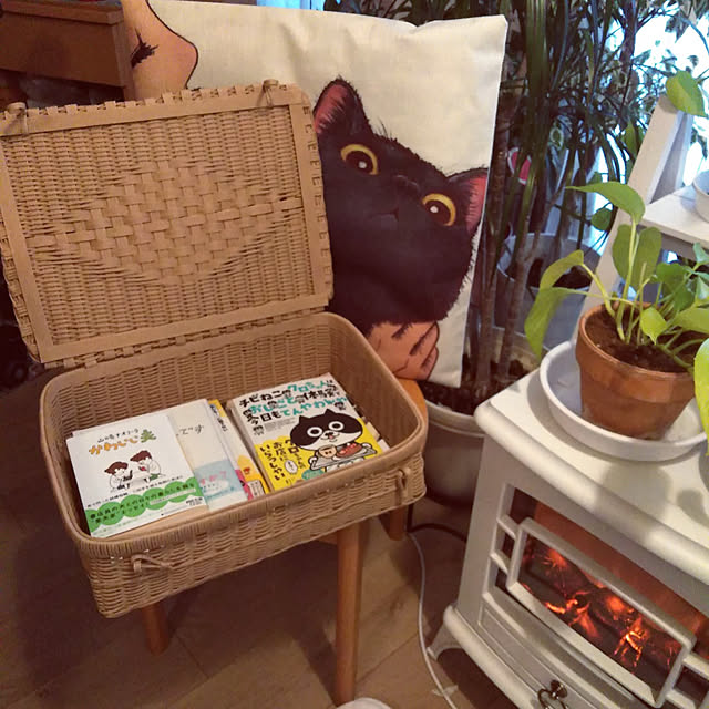 futukoさんの実例写真