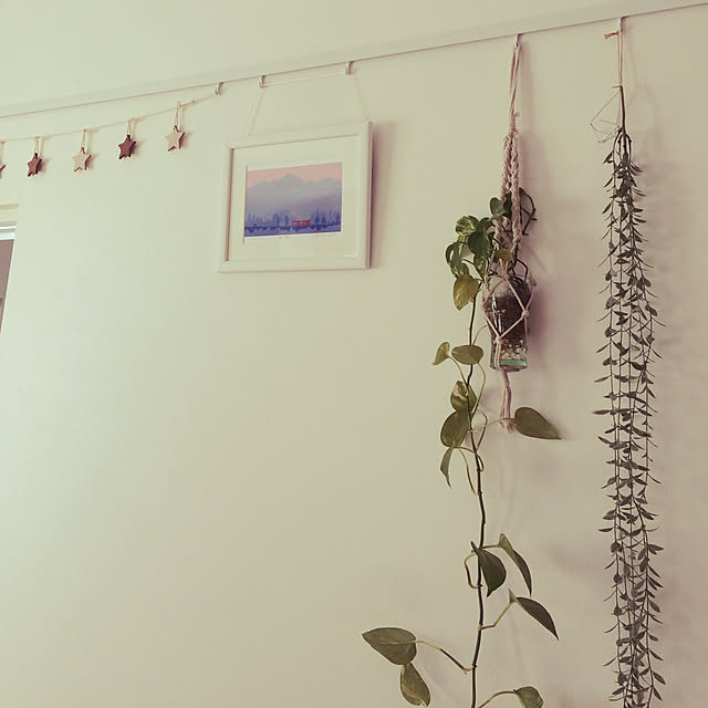 壁/天井/salut!/観葉植物のインテリア実例 - 2019-01-14 11:06:59