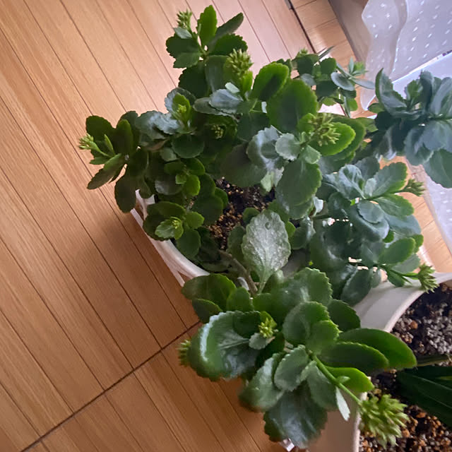 YuuKoさんの部屋