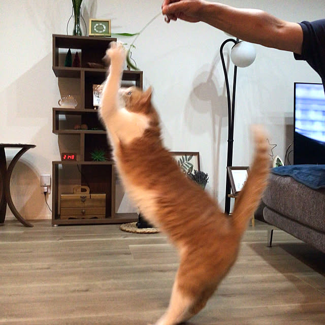 houenさんの部屋