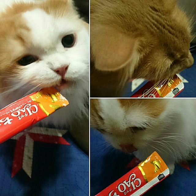 1ldksさんの実例写真