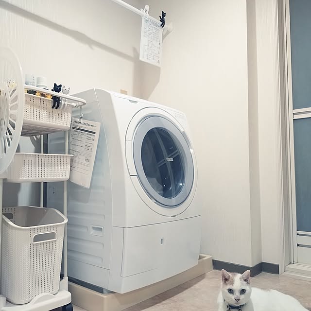 NOAHさんの実例写真