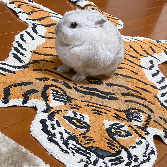 yukkoooooooさんの実例写真