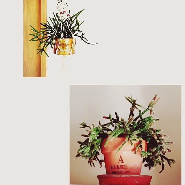 asa.homeさんの実例写真