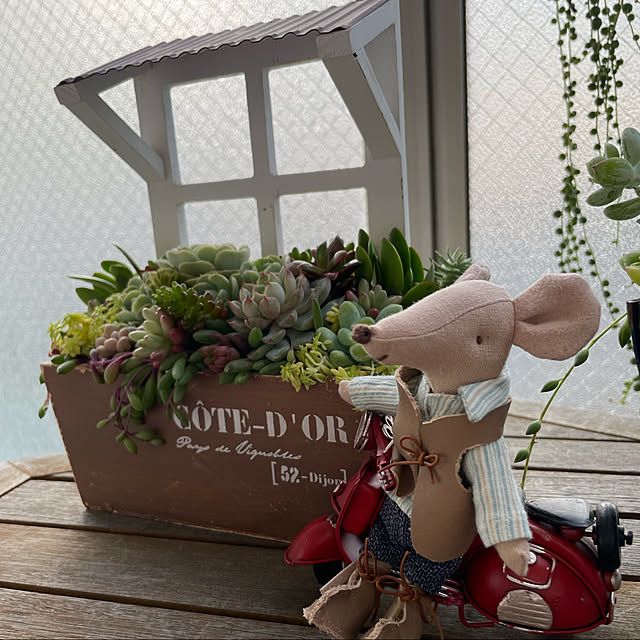 mocoaさんの実例写真