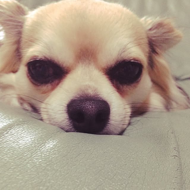 naokkoさんの実例写真