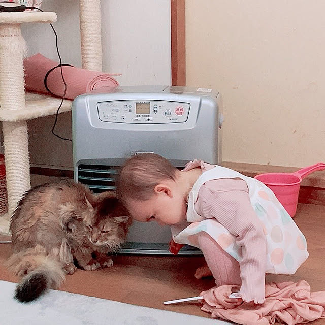 yukarinさんの実例写真