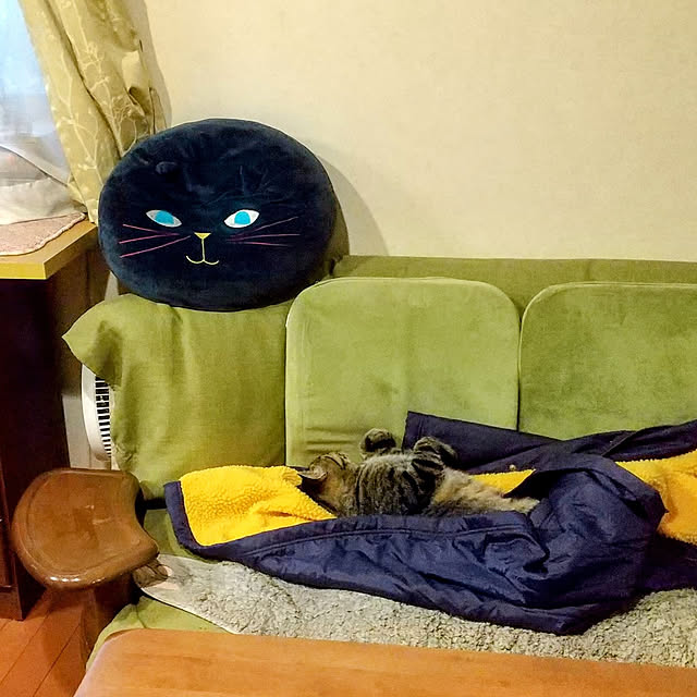 komgi12さんの実例写真