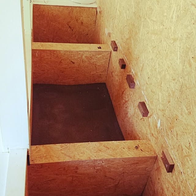 DogGardenBaByBooさんの実例写真